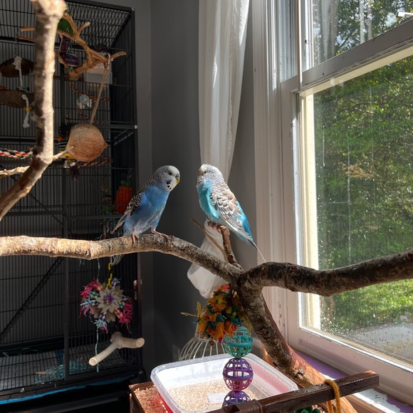 Meet your Posher, Marilyn - Picture 4 of 6